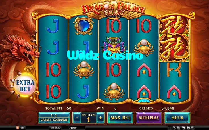 available types of Wildz Casino bet including pre-match live express and system bets